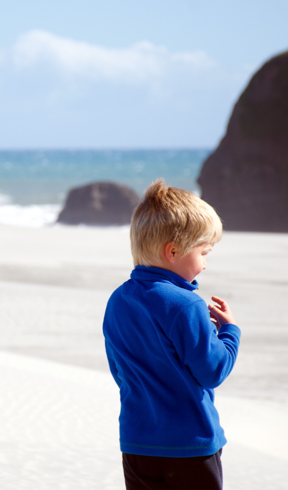 New Zealand Immigration Simplified for Individuals and Employers